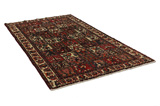 Bakhtiari - Garden Persian Carpet 291x164 - Picture 1