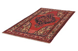 Lori - Bakhtiari Persian Carpet 256x135 - Picture 2