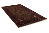 Songhor - Koliai Persian Carpet 299x148 - Picture 1