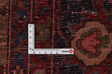 Songhor - Koliai Persian Carpet 299x148 - Picture 4