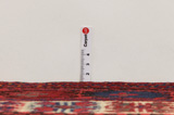 Afshar - Sirjan Persian Carpet 288x203 - Picture 8