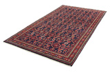 Borchalou - Hamadan Persian Carpet 310x170 - Picture 2