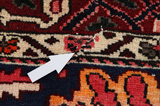 Bakhtiari Persian Carpet 320x220 - Picture 18