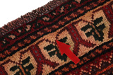 Qashqai - Shiraz Persian Carpet 315x214 - Picture 17