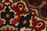Bakhtiari Persian Carpet 310x222 - Picture 18