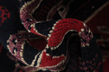 Tuyserkan - Hamadan Persian Carpet 249x152 - Picture 7