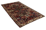 Bakhtiari - Garden Persian Carpet 310x168 - Picture 1