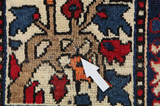 Bakhtiari - Garden Persian Carpet 320x220 - Picture 18