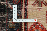 Koliai - Kurdi Persian Carpet 266x156 - Picture 4