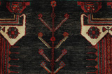 Koliai - Kurdi Persian Carpet 266x156 - Picture 7