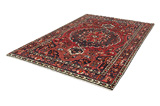 Bakhtiari Persian Carpet 297x204 - Picture 2