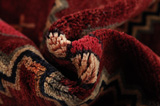 Lori - Bakhtiari Persian Carpet 203x150 - Picture 7