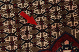 Songhor - Koliai Persian Carpet 306x159 - Picture 17