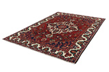 Bakhtiari Persian Carpet 301x205 - Picture 2