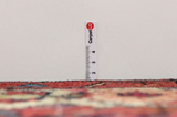 Lilian - Sarouk Persian Carpet 309x204 - Picture 8