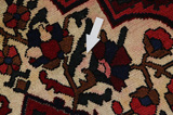 Bakhtiari Persian Carpet 306x205 - Picture 17