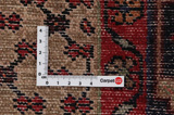 Songhor - Koliai Persian Carpet 296x110 - Picture 4