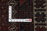 Afshar - Sirjan Persian Carpet 243x150 - Picture 4