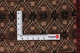 Songhor - Koliai Persian Carpet 283x153 - Picture 4