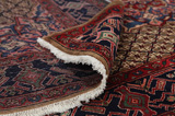 Songhor - Koliai Persian Carpet 313x157 - Picture 5
