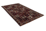 Bakhtiari - Garden Persian Carpet 303x171 - Picture 1