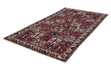 Bakhtiari - Garden Persian Carpet 303x171 - Picture 2