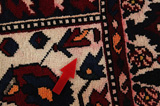 Bakhtiari - Garden Persian Carpet 303x171 - Picture 17