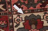 Bakhtiari - Garden Persian Carpet 304x170 - Picture 17