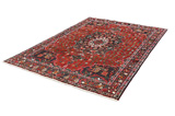 Bakhtiari Persian Carpet 292x206 - Picture 2