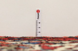Bakhtiari - Garden Persian Carpet 295x214 - Picture 8