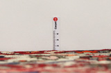 Bakhtiari Persian Carpet 314x205 - Picture 8