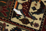 Bakhtiari Persian Carpet 284x164 - Picture 17
