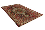 Nahavand - Hamadan Persian Carpet 311x192 - Picture 1