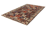 Bakhtiari - Garden Persian Carpet 295x173 - Picture 2