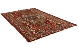 Bakhtiari Persian Carpet 292x199 - Picture 1