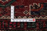 Borchalou - Hamadan Persian Carpet 280x158 - Picture 4