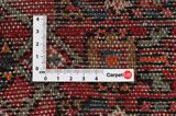 Borchalou - Hamadan Persian Carpet 305x157 - Picture 4