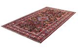 Nahavand - Hamadan Persian Carpet 282x156 - Picture 2