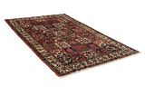 Bakhtiari - Garden Persian Carpet 261x158 - Picture 1