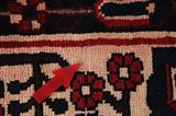 Bakhtiari - Garden Persian Carpet 305x205 - Picture 17