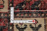 Bakhtiari - Garden Persian Carpet 303x160 - Picture 4