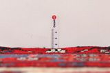 Nahavand - Hamadan Persian Carpet 300x160 - Picture 8