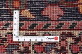 Bakhtiari Persian Carpet 316x208 - Picture 4