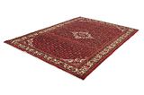 Borchalou - Hamadan Persian Carpet 293x205 - Picture 2