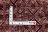 Songhor - Koliai Persian Carpet 303x147 - Picture 4