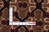 Songhor - Koliai Persian Carpet 287x162 - Picture 4