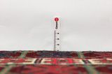 Afshar - old Persian Carpet 243x164 - Picture 8