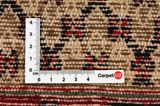Songhor - Koliai Persian Carpet 300x157 - Picture 4