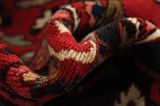 Bakhtiari Persian Carpet 315x222 - Picture 7