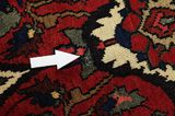 Bakhtiari Persian Carpet 315x222 - Picture 17